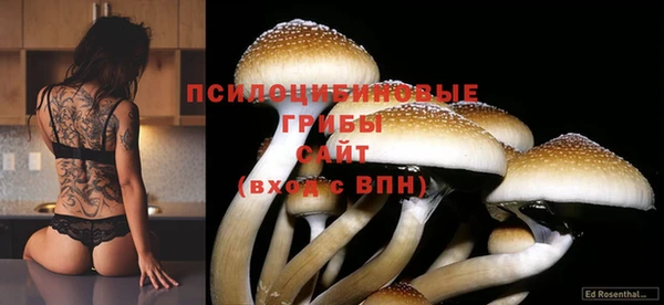 MDMA Баксан