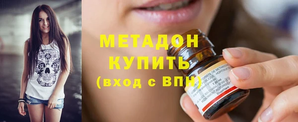 индика Аркадак