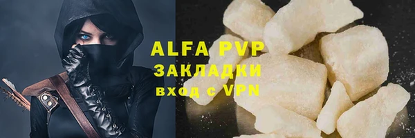 индика Аркадак
