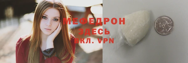 индика Аркадак