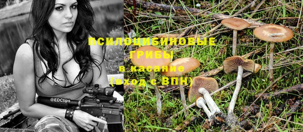 индика Аркадак