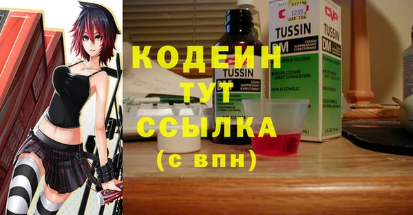 индика Аркадак